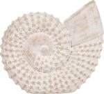 Sagebrook Home Stoneware Seashell Figurine Coastal Ceramic