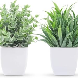 Der Rose 2 Pack Small Fake Plants Mini Artificial Potted Plants
